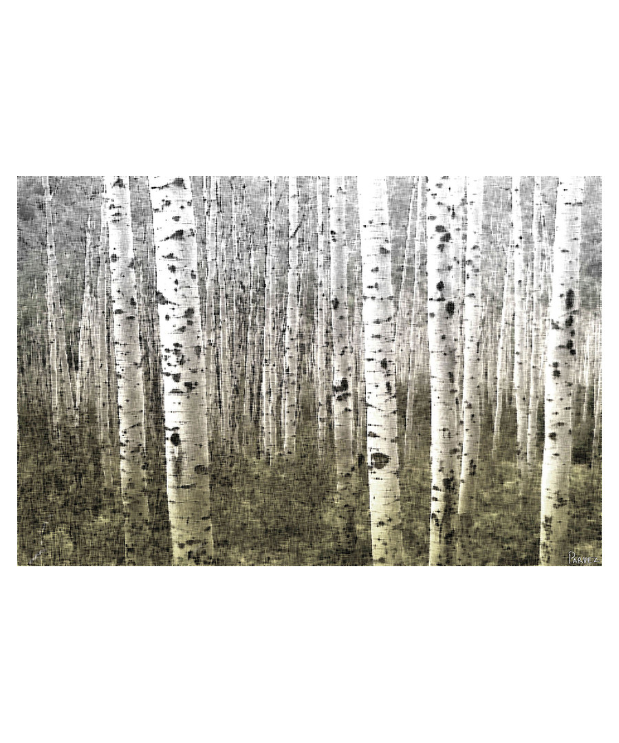 Aspen Highlands canvas print 91 x 61cm Sale - parvez taj