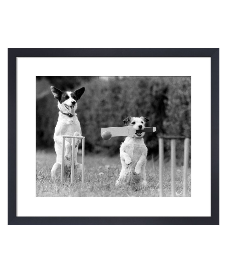 Cricket In The Park framed print Sale - The Art Guys