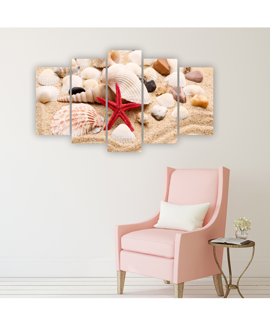 5pc Sea Shells wall art Sale - FIFTH