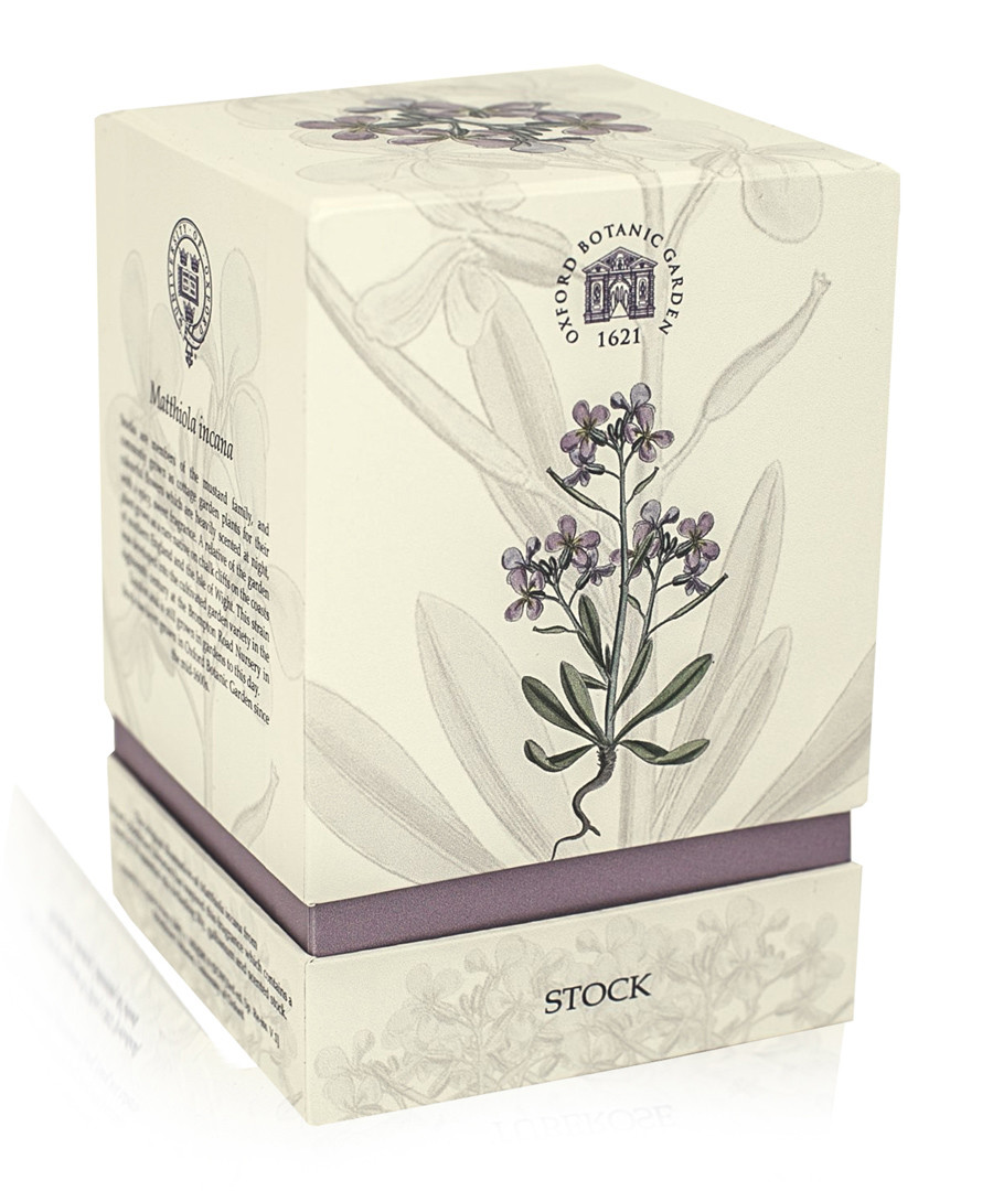 Stock gift box candle Sale - oxford university