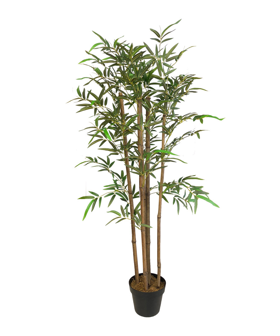 Green fake bamboo plant Sale - Maiko