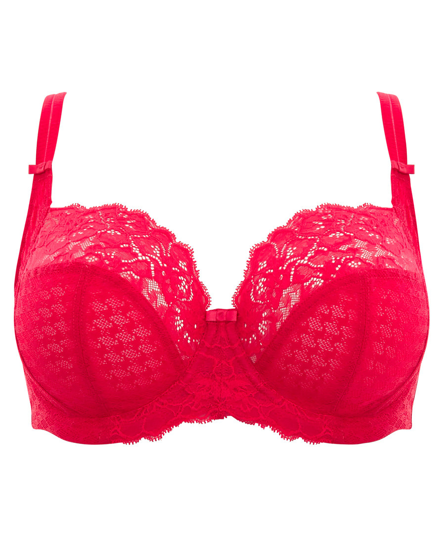 Envy ruby lace full cup bra Sale - panache
