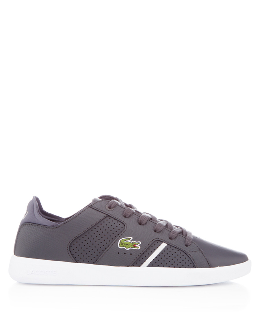 Novas grey leather sneakers Sale - lacoste
