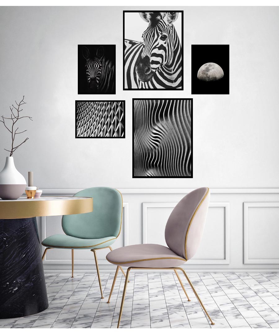 5pc Zebra wall art set Sale - modacanvas